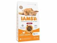 3kg Advanced Nutrition Indoor Cat mit Huhn IAMS Katzenfutter trocken
