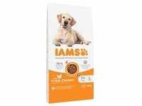 12kg Advanced Nutrition Senior Large Dog mit Huhn IAMS Hundefutter trocken