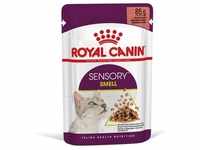 12x 85g Royal Canin Sensory Smell in Soße Katzenfutter nass
