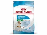 4kg Mini Starter Mother & Babydog Royal Canin Hundefutter trocken