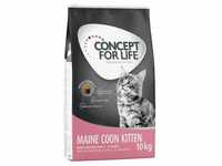 10 kg Maine Coon Kitten Concept for Life Katzenfutter trocken