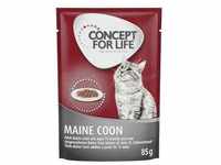 Sparpaket Concept for Life 48 x 85 g - Maine Coon Adult in Ragout-Qualität