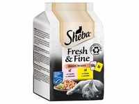 Sheba Fresh & Fine Frischebeutel 6 x 50 g - Lachs & Huhn in Sauce