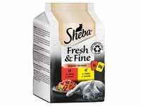 6 x 50g Fresh & Fine Rind & Huhn in Sauce Sheba Katzenfutter nass