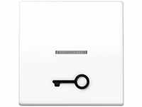 Jung AS591T1KO5WW Wippe mit Lichtleiter mit abtastbarem Symbol Tür Duroplast Serie