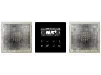 Jung DABES2 Smart Radio DAB+ Set Stereo Serie LS Edelstahl