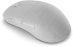 Endgame Gear XM2w 4k Wireless Gaming Maus, kabellos - White Frost GAMO-1211