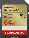 SanDisk SDSDXGN-064G-GNCIN, SanDisk Extreme Go - Flash-Speicherkarte - 64