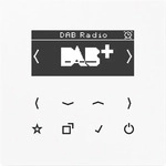 Jung DABLSWW, Jung Smart Radio DABLSWW DAB+