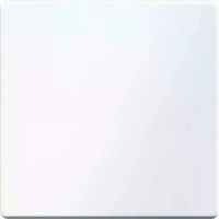 Berker 16206089, Berker 16206089 Wippe Q.1/Q.3 polarwei&szlig; samt. Wippe f&uuml;r