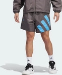 Adidas IW8052, Adidas - Anted Short - Shorts-Sport braun blau Herren
