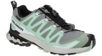 Salomon XA PRO 3D V9 GTX 478231 grau - Sportschuhe f?r Damen