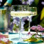 Champagnerschale Power, St&ouml;lzle - 276ml (6 Stk.) - 6er Karton