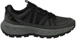 Jack Wolfskin Wild Hike Texapore Low W Black Phantom 39