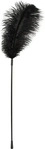 Bad Kitty Federstab, schwarz, Sextoys > Vorspiel Sextoys