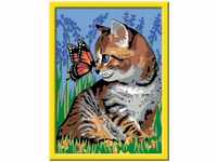 Katze mit Schmetterling, Malen nach Zahlen - Serie D