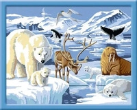 Ravensburger 28909, Ravensburger Tiere der Arktis