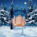 Satisfyer Deluxe Adventskalender 2025