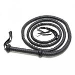 Rimba Arabian bullwhip