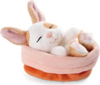 Nici Kuscheltier Sleeping Pets Hase karamell gepunktet 12cm im K&ouml;rbchen (48707)