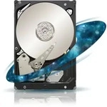 Seagate Enterprise Capacity 3.5 HDD 2TB - ST2000NM0008
