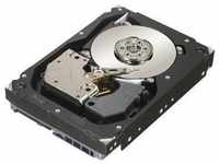 Seagate Cheetah 15K.7 - Festplatte - 300GB - 8,9 cm (3.5 ") - SAS - 15000 U/min...