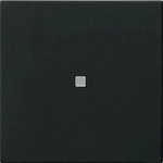 Gira 5495005, Gira 5495005 Gira eNet Funk Bedienaufs. System 55 Schwarz m
