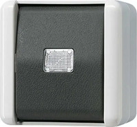 Jung 833-2W, Jung 833-2W Taster, 2-pol. Wechsler, 10 A, IP 44, WG 800 8332W 833-2 W