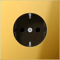 Jung GO1520KI, Jung GO1520KI SCHUKO-Steckdose, 16 A 250 V ~, Safety Plus, Metall