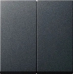 Gira 029528, Gira 029528 Alt - Wippe 2f System 55 Anthrazit