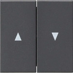 Gira 029428, Gira 029428 Alt - Wippe 2f Pfeil System 55 Anthrazit