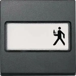 Merten 433314, Merten 433314 Wippe mit Schriftfeld, anthrazit, System M