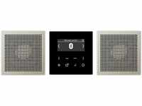 Jung DABES2BT, Jung DABES2BT Smart Radio DAB+ Bluetooth Set Stereo Serie LS...