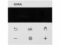 Gira 539327, Gira 539327 S3000 RTR Display System 55 Reinweiß m