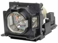 InFocus SP-LAMP-107, InFocus - Projektorlampe - 240 Watt - für InFocus IN1034,