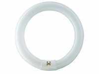 Philips 28474715, Philips MASTER TL-E 40W/840 Leuchtstofflampe Ringform 40W/840