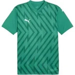 PUMA teamGLORY Trikot Gr&uuml;n Weiss Gr&uuml;n F05 S