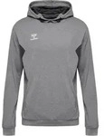 Hummel hmlAuthentic Poly Hoody Grau F2006 S