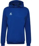 Hummel hmlAUTHENTIC PL Hoody Blau F7045 S