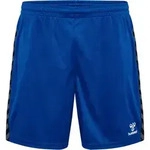 Hummel hmlAUTHENTIC Poly Short Blau F7045 S