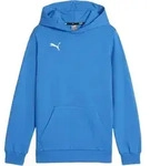 PUMA teamGOAL Casuals Hoody Kids Blau F02 116