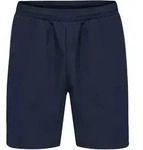 Hummel Move Grid Woven Short Blau F7026 S