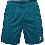 Hummel Authentic Pl Short Blau F7058 S