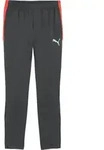 PUMA Individualliga Trainingshose Grau F10 S