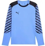PUMA teamLIGA26 Torwarttrikot Langarm Blau F31 S
