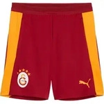 PUMA Galatasaray Istanbul Training Short Rot F01 L