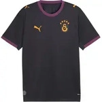 PUMA Galatasaray Istanbul Replica Trikot Away 2026/2027 Grau F05 S