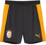 PUMA Galatasaray Istanbul Training Short Grau F06 S