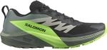 Salomon Herren Sense Ride 5 Schuhe