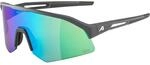Alpina Sonic HR Q-Lite Sportbrille